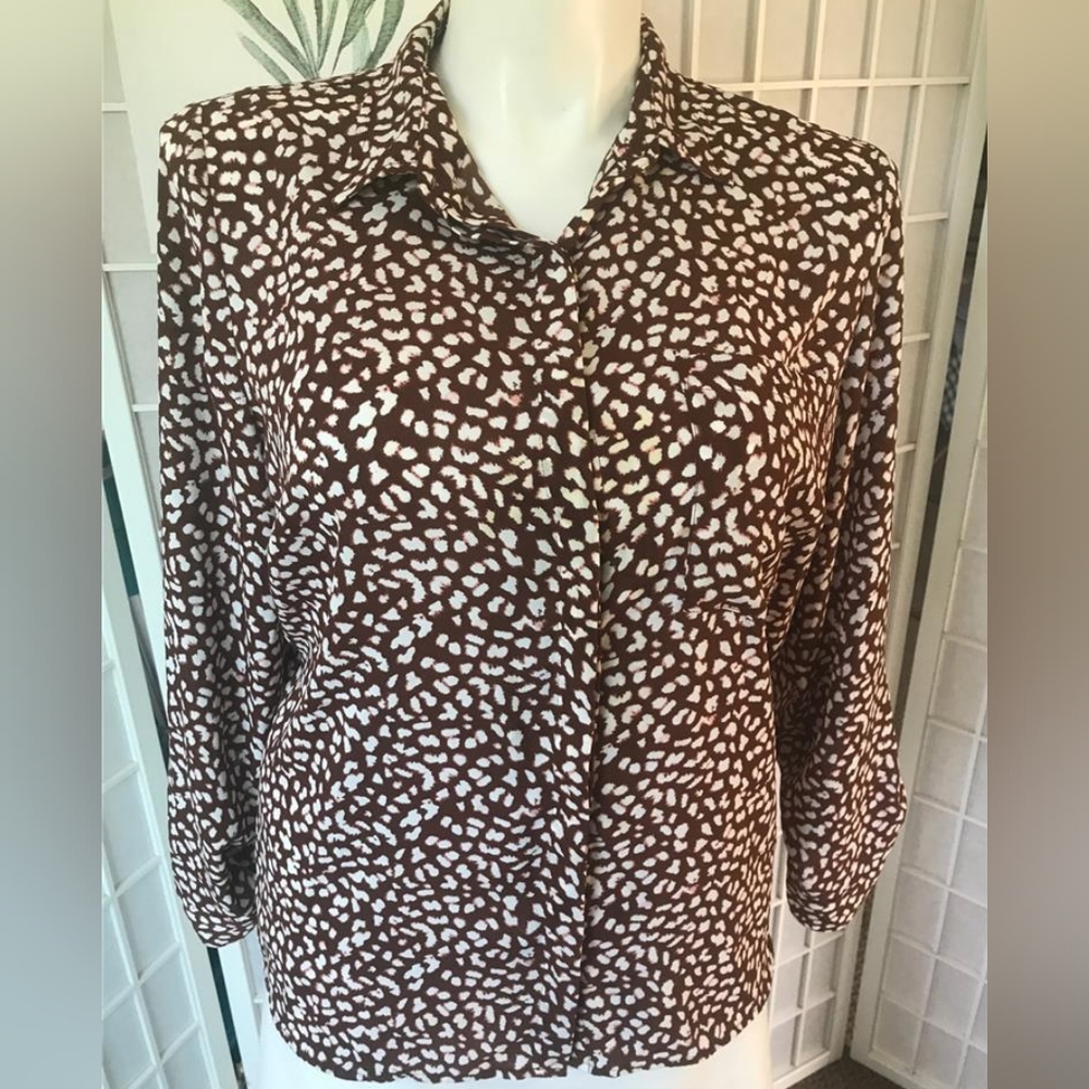 Button Down Shirt